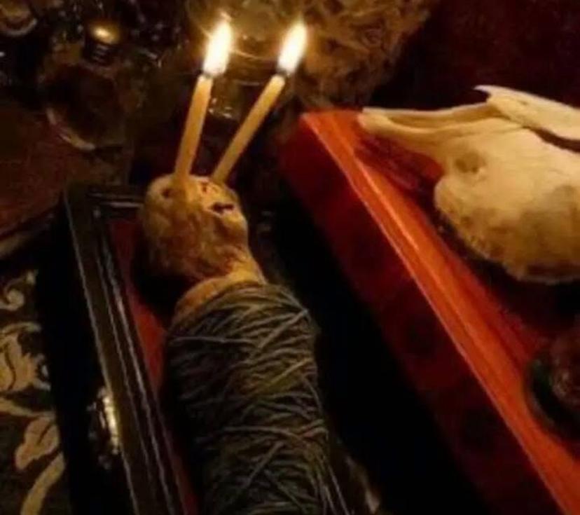 Trabalho de amor com boneco e rosas vermelhas